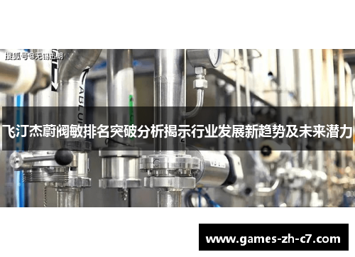飞汀杰蔚阀敏排名突破分析揭示行业发展新趋势及未来潜力