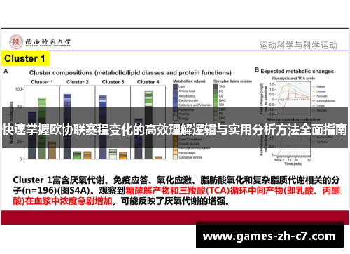 快速掌握欧协联赛程变化的高效理解逻辑与实用分析方法全面指南